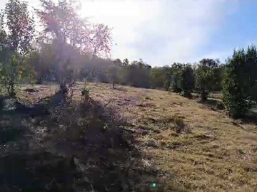 Venta / Terreno / Villarrica