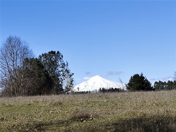 Venta / Terreno / Villarrica