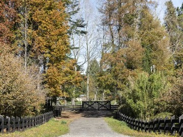 Venta / Terreno / Villarrica