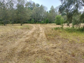 Venta / Terreno / Villarrica