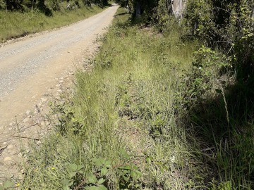 Venta / Terreno / Villarrica