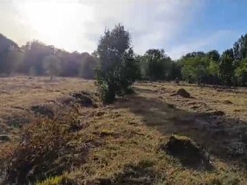 Venta / Terreno / Villarrica