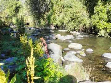 Venta / Terreno / Villarrica