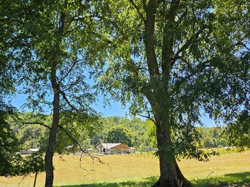 Venta / Terreno / Villarrica