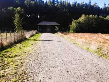 Venta / Terreno / Villarrica