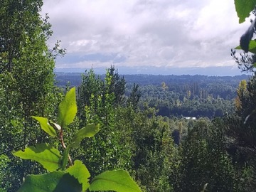 Venta / Terreno / Villarrica
