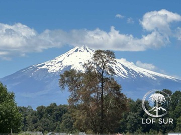 Imagen 23