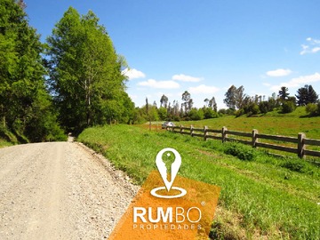 Venta / Terreno / Villarrica