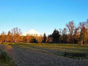 Venta / Terreno / Villarrica