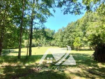Venta / Terreno / Villarrica