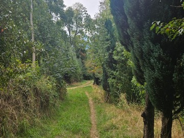 Venta / Terreno / Villarrica