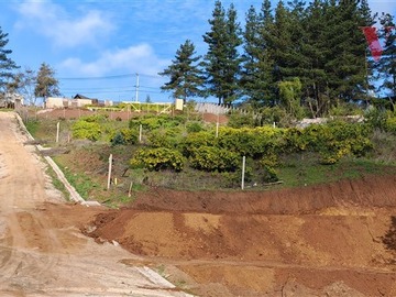 Imagen 9
