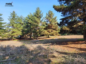 Venta / Terreno / Viña del Mar