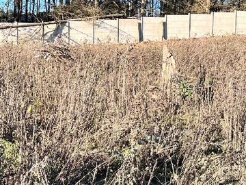 Venta / Terreno / Viña del Mar