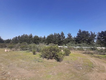 Venta / Terreno / Viña del Mar