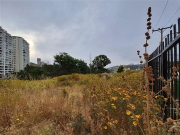 Venta / Terreno / Viña del Mar