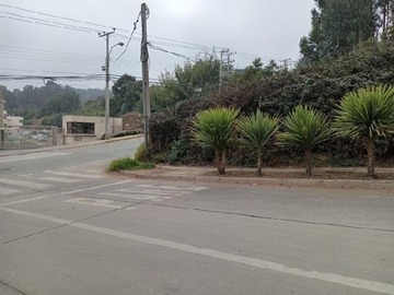 Imagen 8