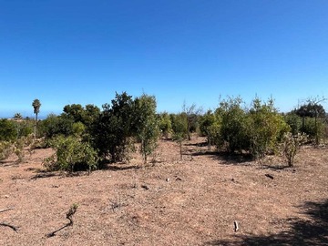 Venta / Terreno / Viña del Mar