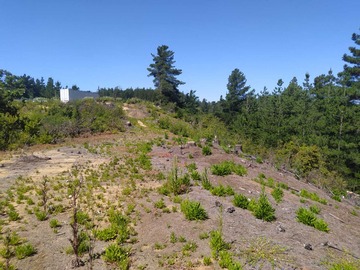 Venta / Terreno / Viña del Mar