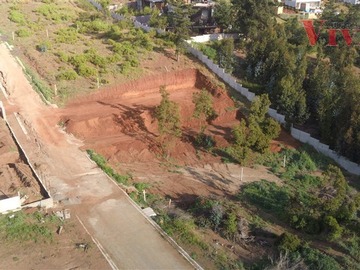 Imagen 13