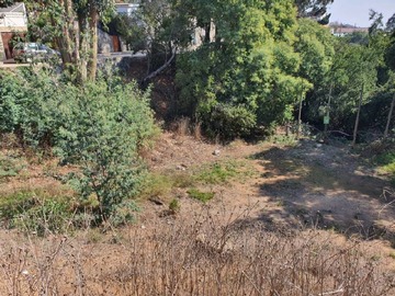 Venta / Terreno / Viña del Mar