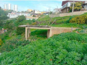 Imagen 9