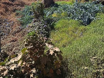Venta / Terreno / Viña del Mar