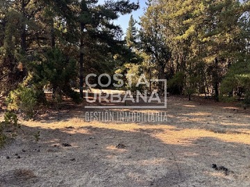Venta / Terreno / Viña del Mar