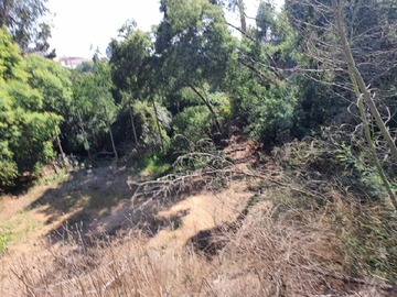 Venta / Terreno / Viña del Mar