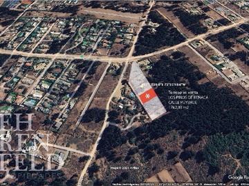 Imagen 13