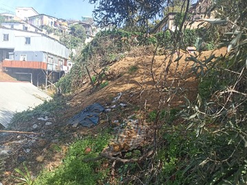 Imagen 5