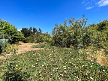 Venta / Terreno / Viña del Mar