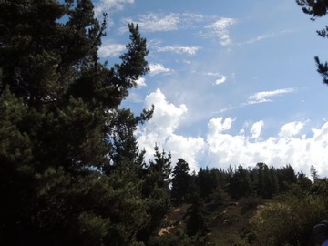 Venta / Terreno / Viña del Mar