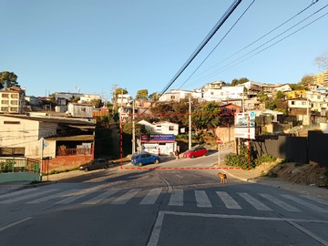 Imagen 5