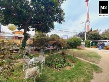 Imagen 5