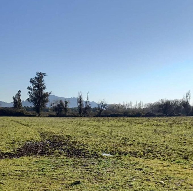 Terreno En Venta En Yerbas Buenas, Yerbas Buenas