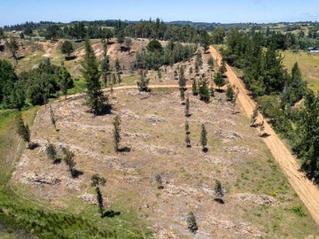 Venta / Terreno / Yumbel