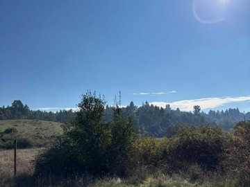 Venta / Terreno / Yumbel