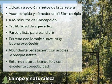 Venta / Terreno / Yumbel