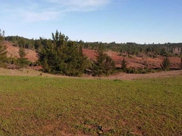 Venta / Terreno / Yumbel