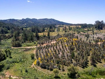 Venta / Terreno / Yumbel