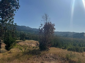 Venta / Terreno / Yumbel