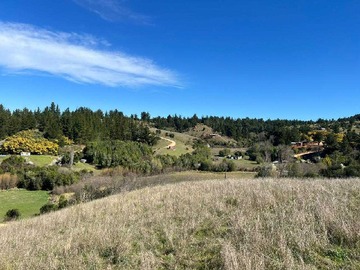 Venta / Terreno / Yumbel