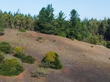 Venta / Terreno / Yumbel