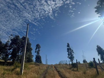 Venta / Terreno / Yumbel