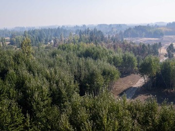 Venta / Terreno / Yungay