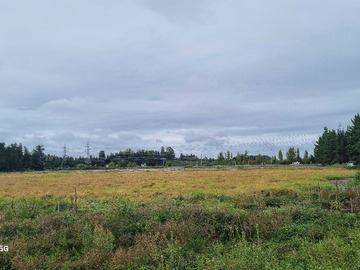 Venta / Terreno / Yungay