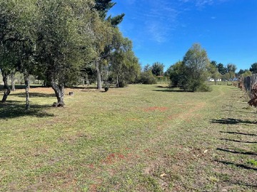 Venta / Terreno / Yungay