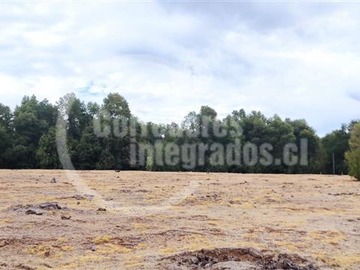 Venta / Terreno / Yungay