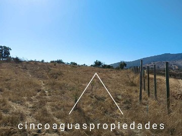 Imagen 22